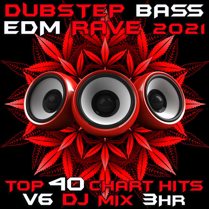 Various: Dubstep Bass EDM Rave 2021 Top 40 Chart Hits, Vol 6 DJ.