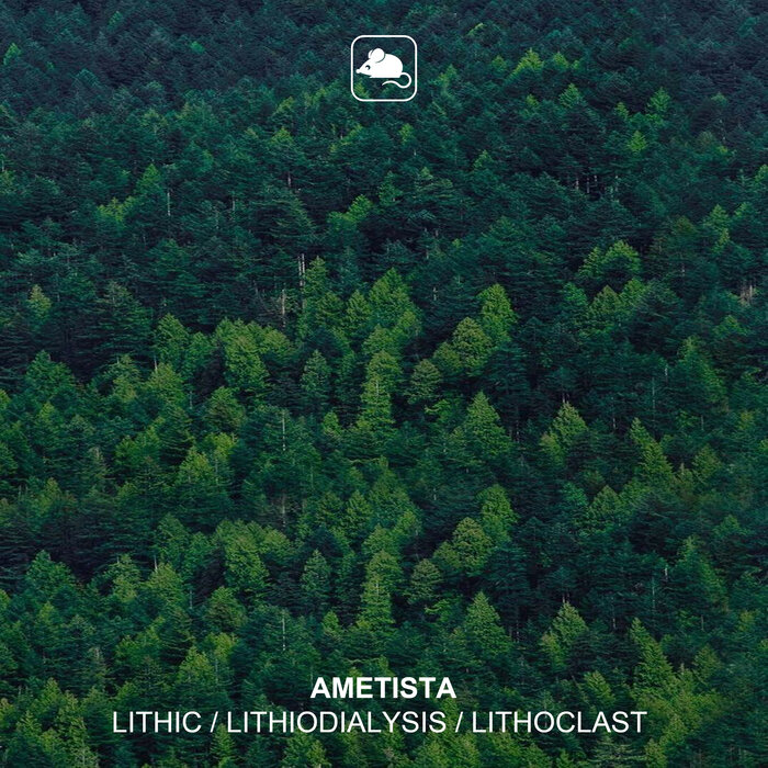 Ametista - Lithic/Lithiodialysis/Lithoclast