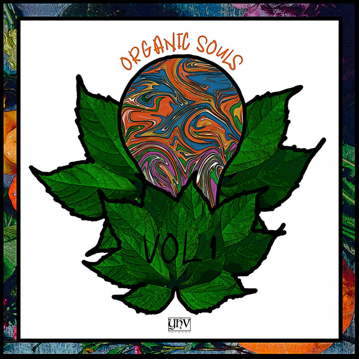 Various - Organic Souls Vol 1