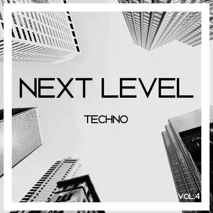 Various - Next Level Techno Vol 4