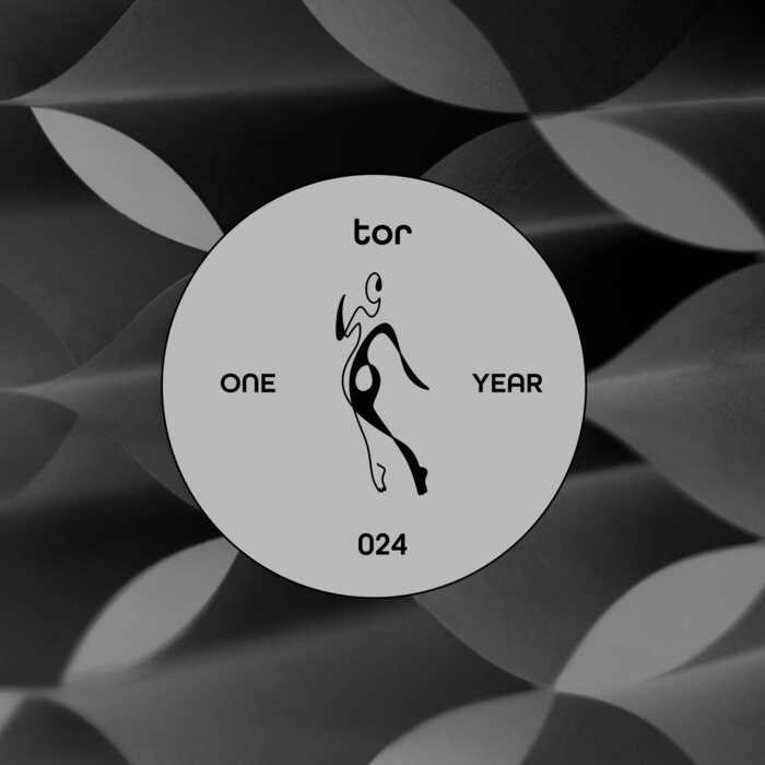 VARIOUS - TOR: One Year