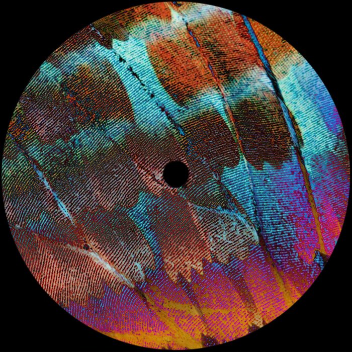 Luvless / Elevate EP Luvless / Elevate EP