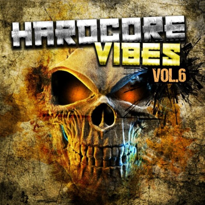 Various - Hardcore Vibes Vol 6