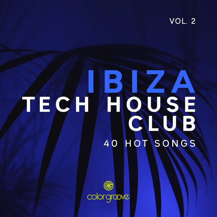 VARIOUS - Ibiza Tech House Club Vol 2 (40 Hot Songs)