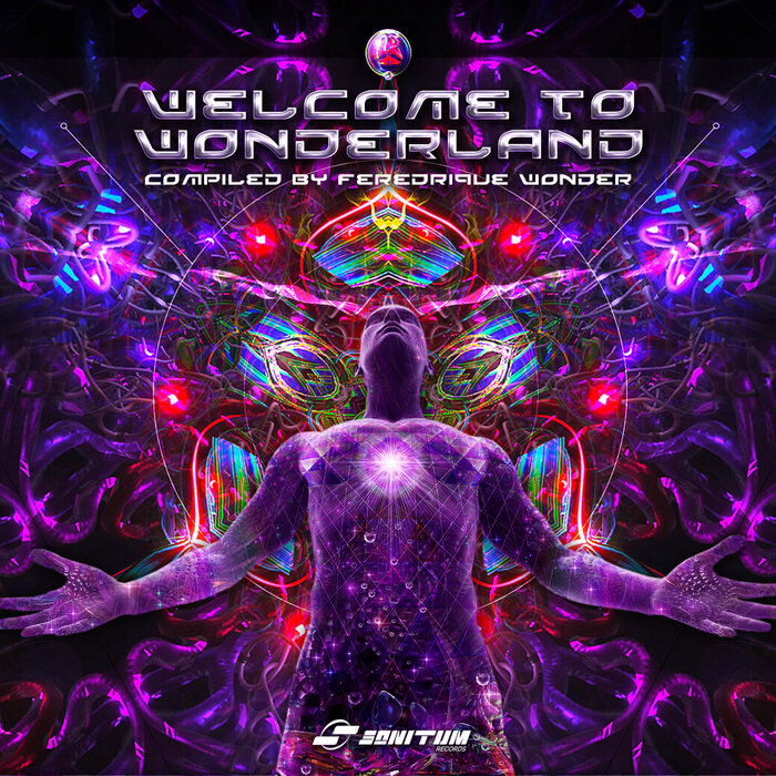 Various - Welcome To Wonderland