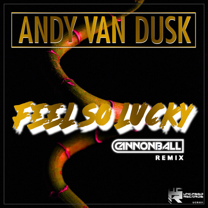 ANDY VAN DUSK - Feel So Lucky (Cannonball Remix)
