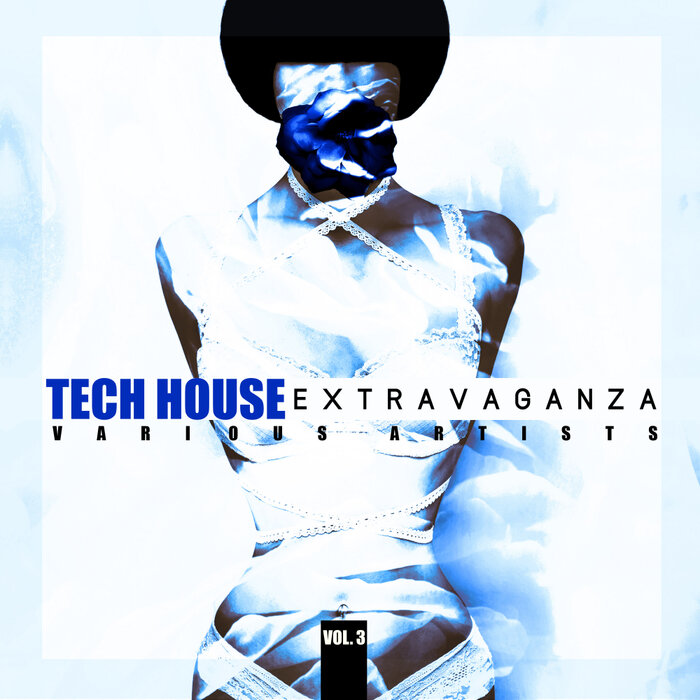 Various - Tech House Extravaganza, Vol 3