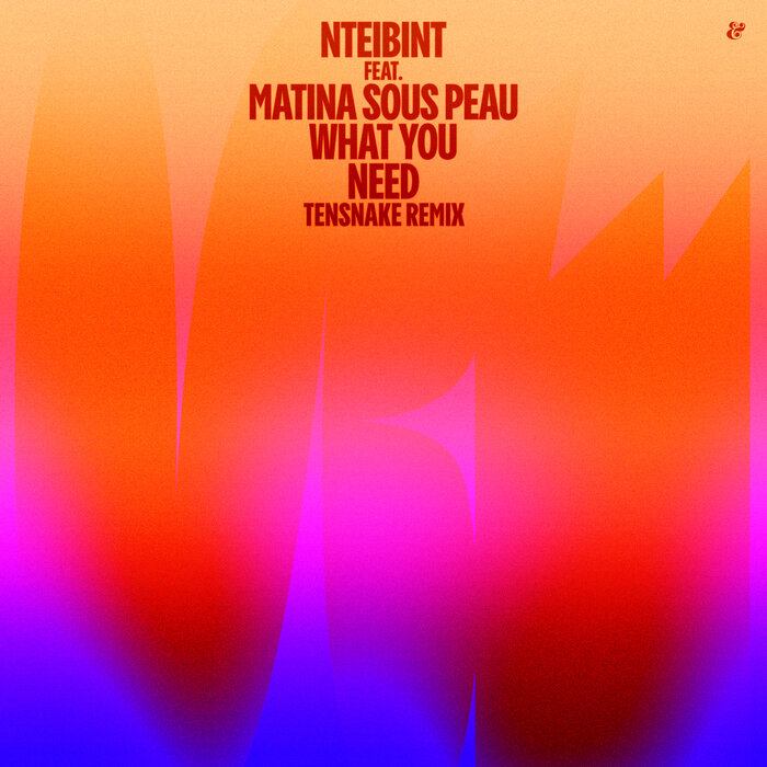 NTEIBINT FEAT MATINA SOUS PEAU - What You Need (Tensnake Remix)