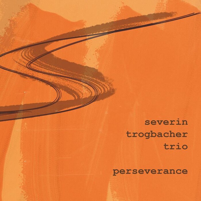 Severin Trogbacher Trio - Perseverance
