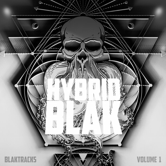 Various - HYBRID BLAK: BLAKTRACKS VOL 1 (Explicit)