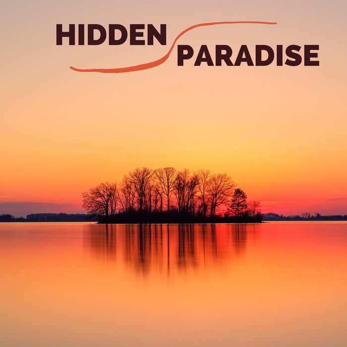 VARIOUS - Hidden Paradise