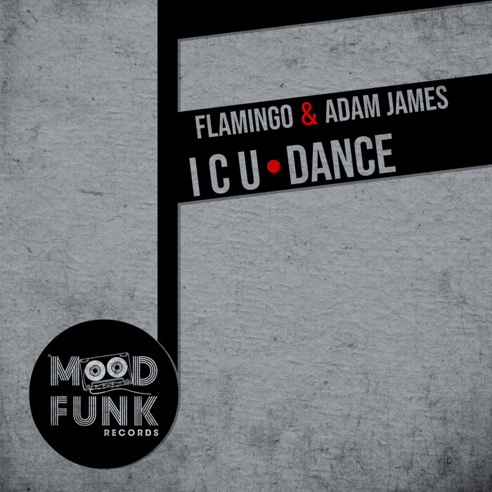 Flamingo/Adam James - I C U Dance
