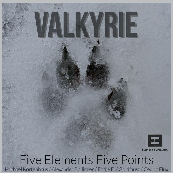 Various - Valkyrie
