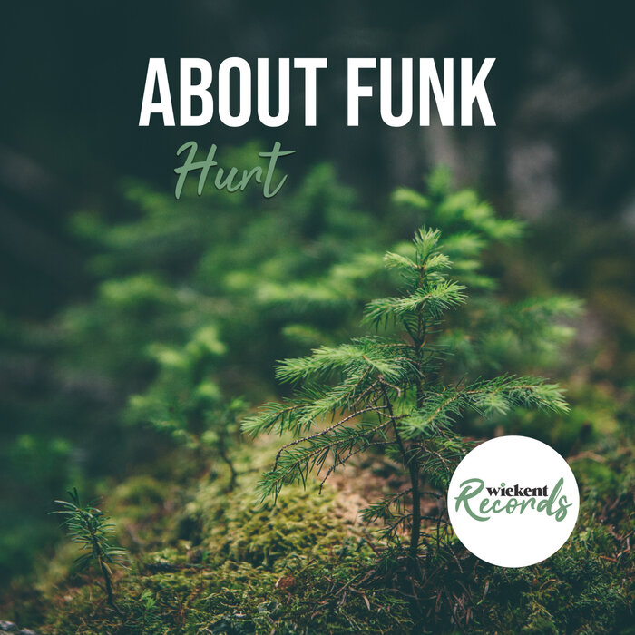 About Funk - Hurt