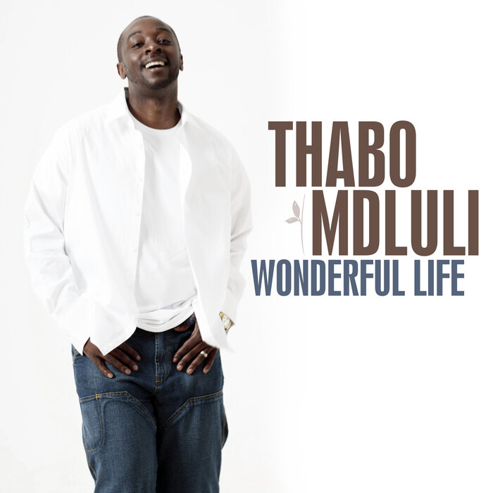Thabo Mdluli - Wonderful Life