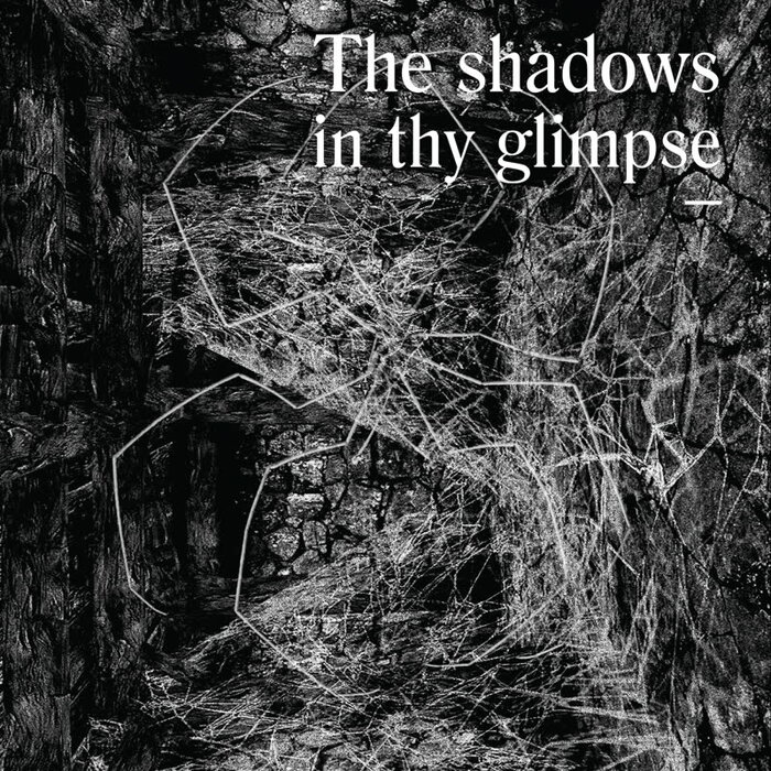 Various - The Shadows In Thy Glimpse: Bedouin Records Selected Discography 2016-2018