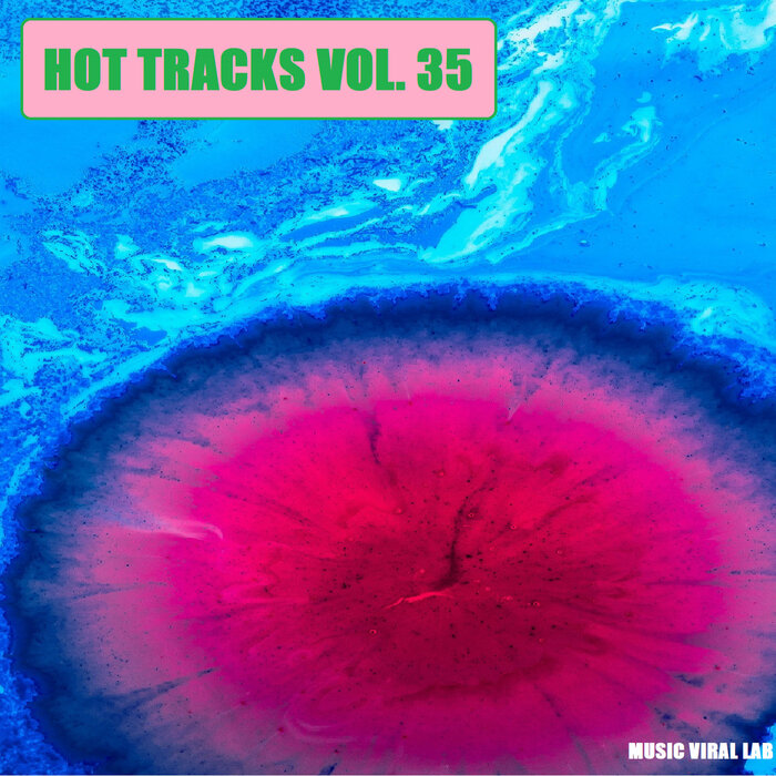 Various - Hot Tracks Vol 35