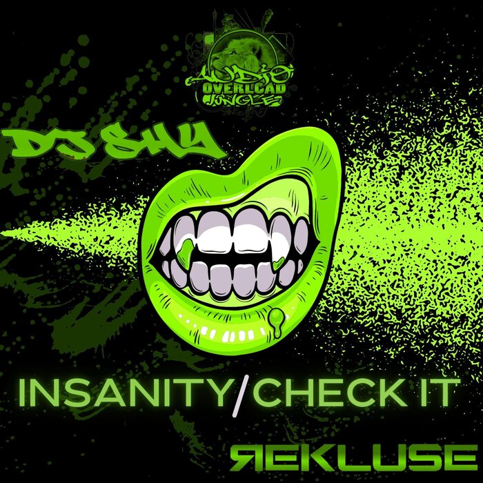 DJ SHY/REKLUSE - Insanity / Check It