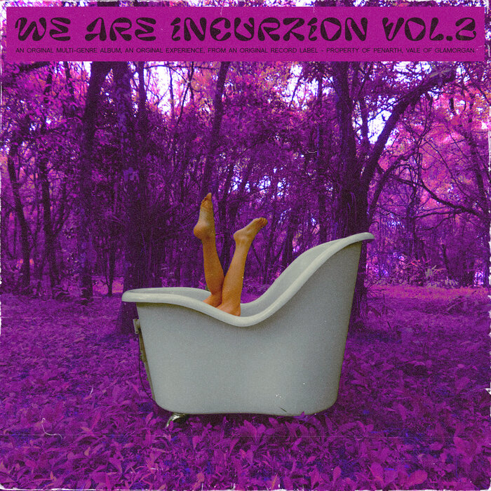 VA - We Are Incurzion Vol.2 (INCVA002)