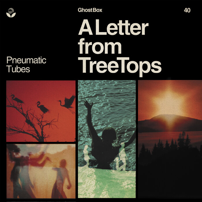 A Letter From TreeTops By Pneumatic Tubes On MP3, WAV, FLAC, AIFF.