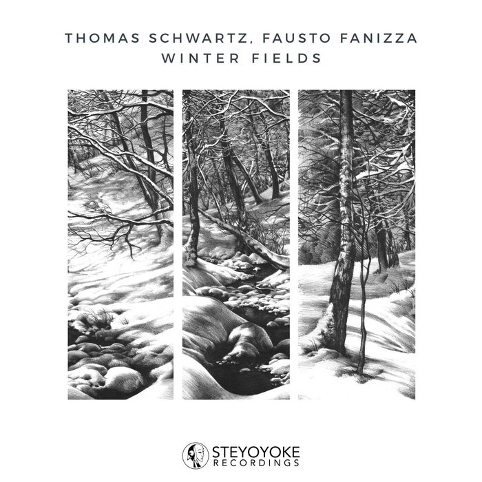 Thomas Schwartz & Fausto Fanizza - Winter Fields