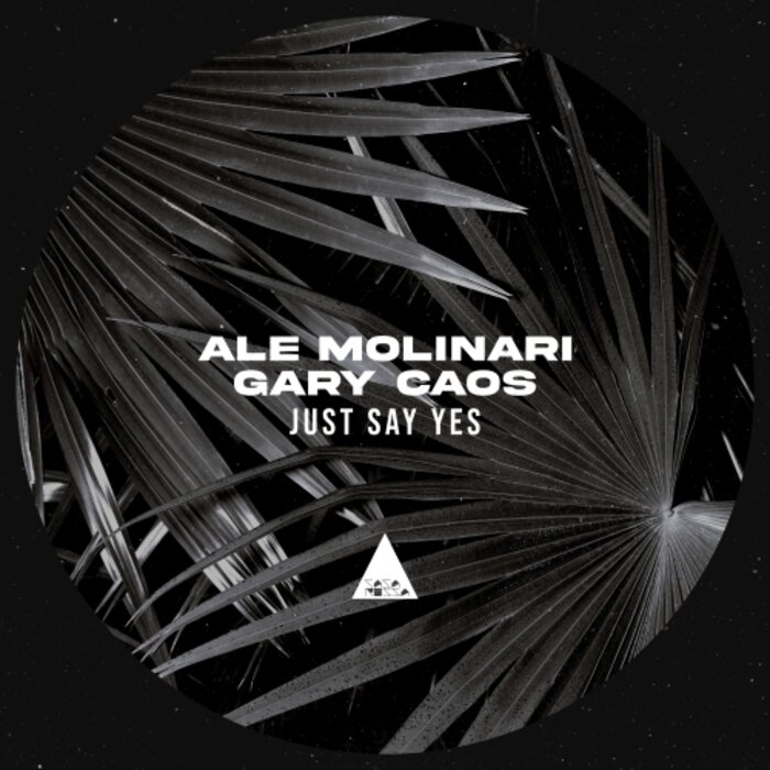 ALE MOLINARI/GARY CAOS - Just Say Yes (Original Mix)