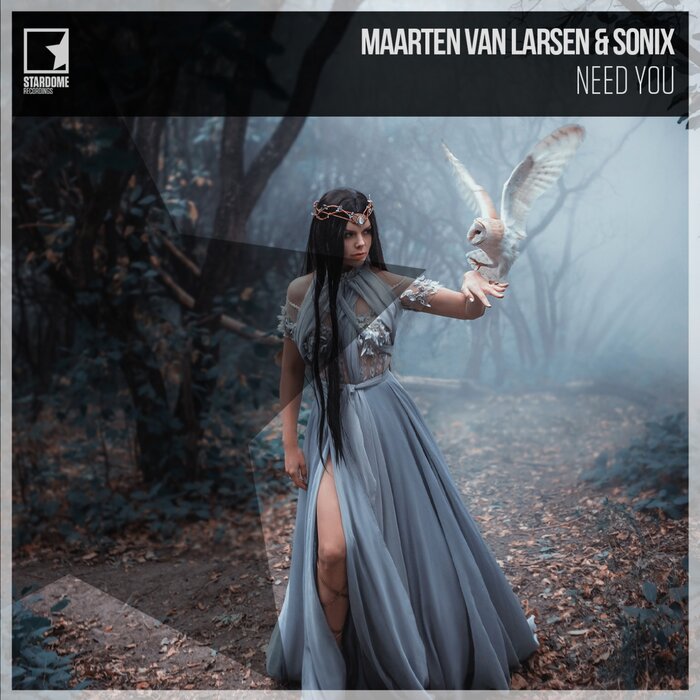 MAARTEN VAN LARSEN/SONIX - Need You (Hands Up Mix)