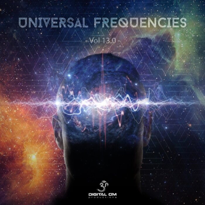 Various - Universal Frequencies, Vol 13