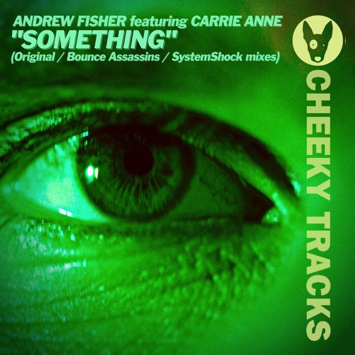 Andrew Fisher feat. Carrie Anne - Something