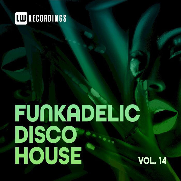 Various - Funkadelic Disco House, 14