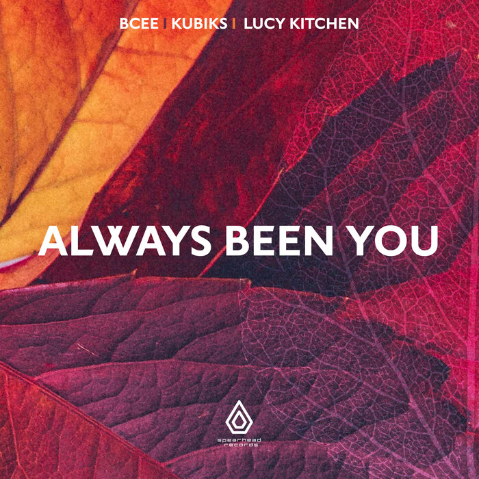BCee/Kubiks/Lucy Kitchen - Always Been You