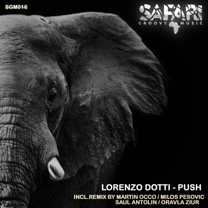 Lorenzo Dotti - Push