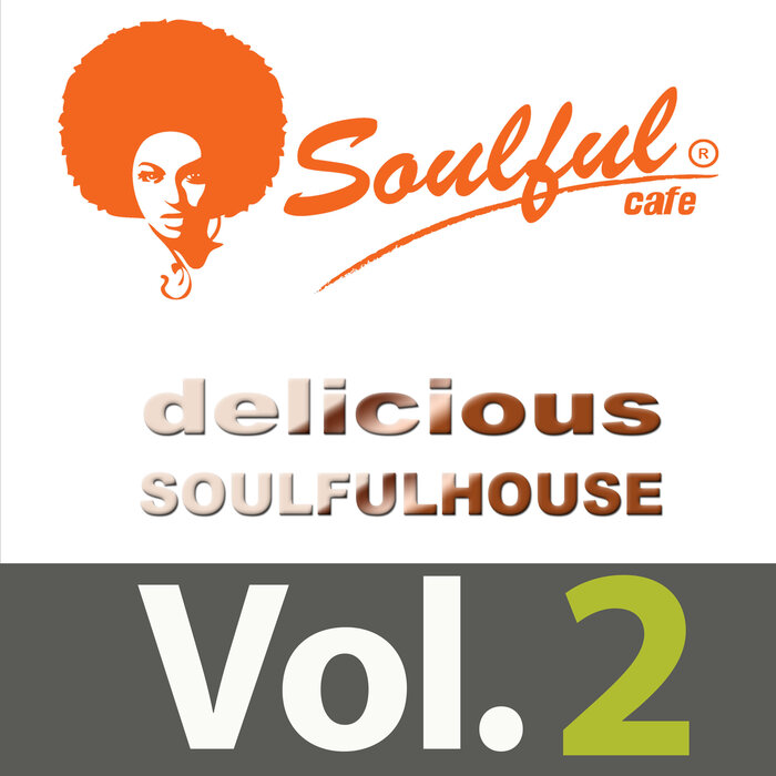 Various - Delicious Soulful House Vol 2