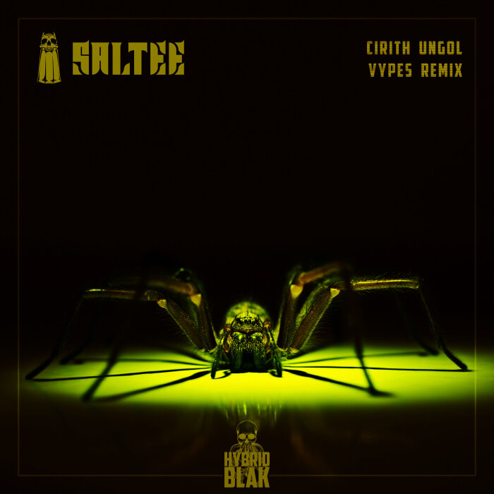 SALTEE - Cirith Ungol (Vypes Remix)