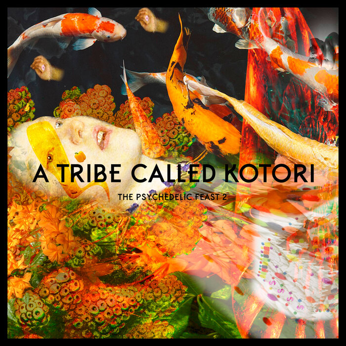 Various - A Tribe Called Kotori - Chapter 2