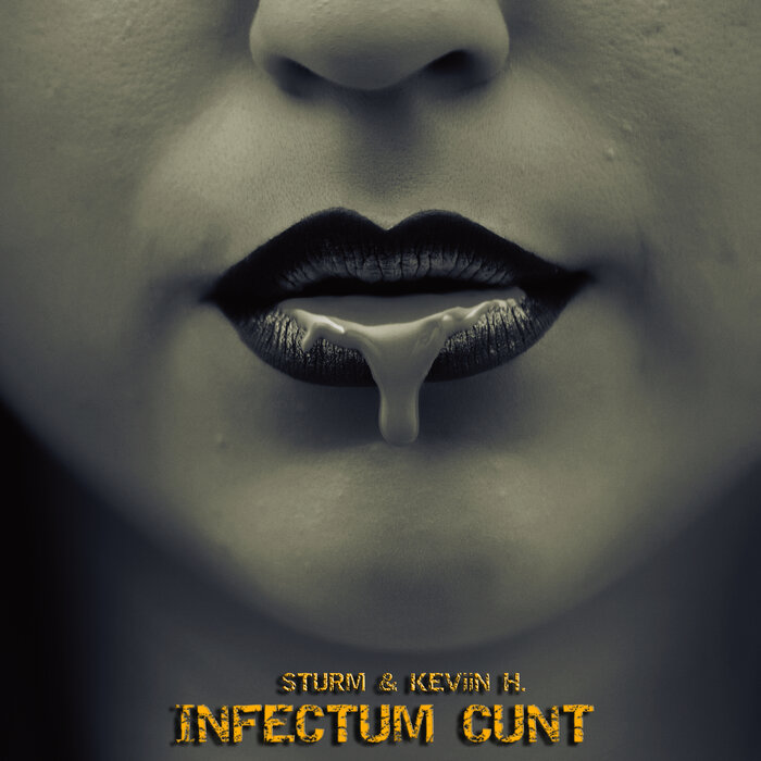 STURM/KEVIN H - Infectum Cunt