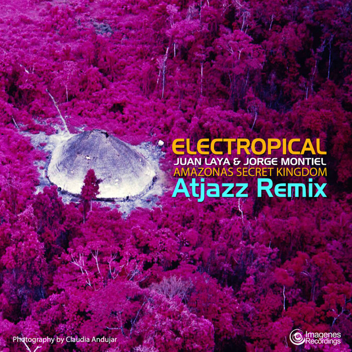 JUAN LAYA/JORGE MONTIEL/ATJAZZ - Electropical: Amazonas Secret Kingdom (Atjazz Rework)