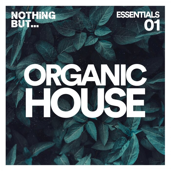 Various - Nothing But... Organic House Essentials, Vol 01