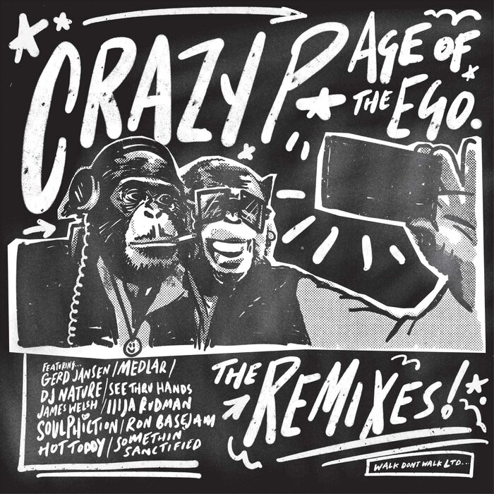 Crazy P/Medlar feat Dele Sosimi - The Witness (Medlar remix)