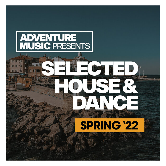 VARIOUS - Selected House & Dance 2022