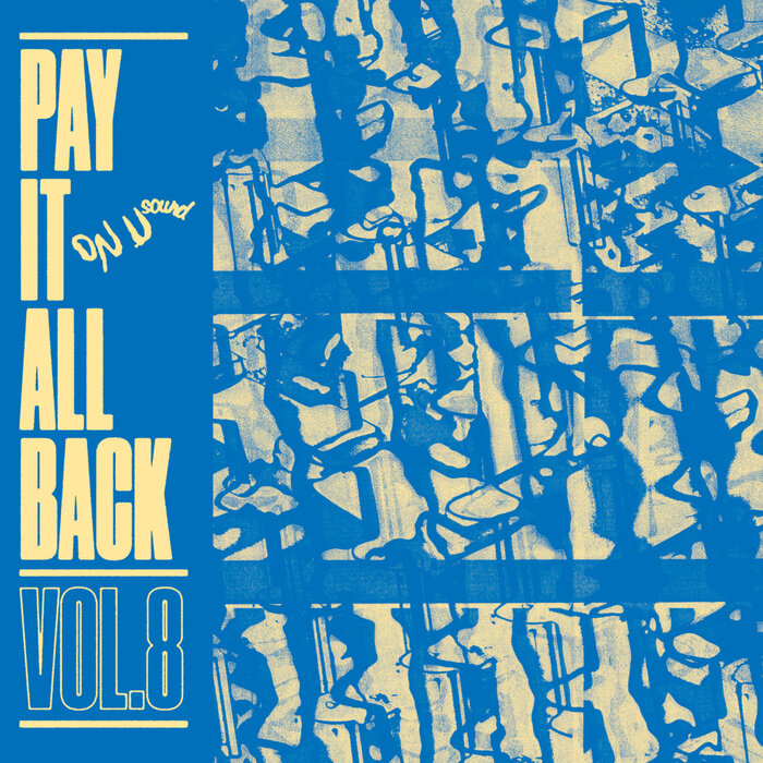VARIOUS - Pay It All Back Vol 8