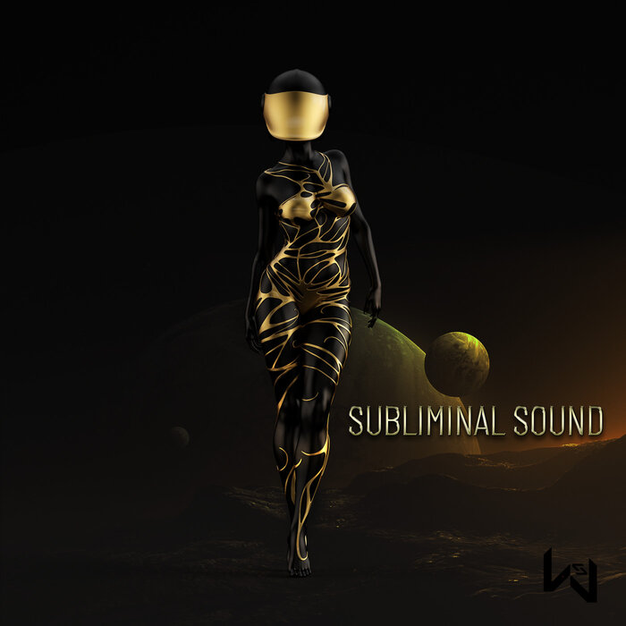 VARIOUS - Subliminal Sound