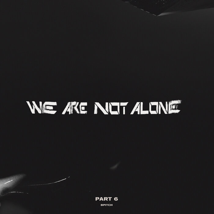 Various - Ellen Allien Presents We Are Not Alone Pt. 6