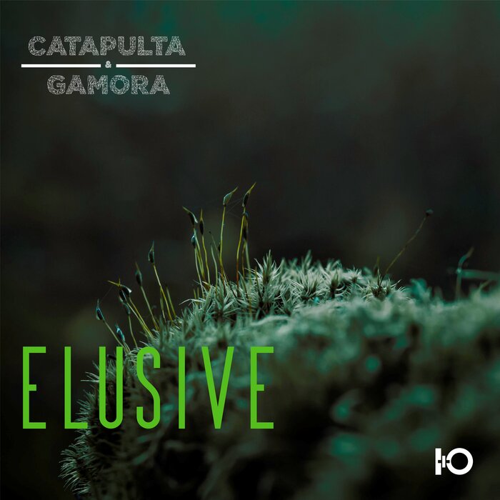 Elusive By Catapulta & Gamora On MP3, WAV, FLAC, AIFF & ALAC At.