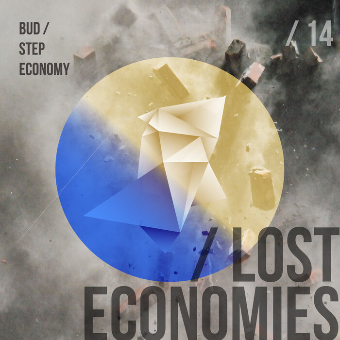 VARIOUS - Lost Economies - Vol 14