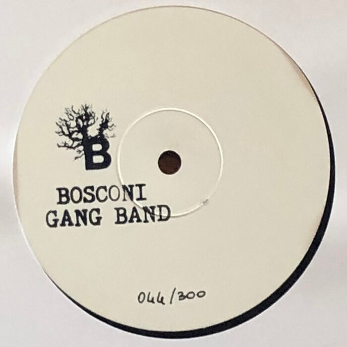 Bosconi Gang Band - Live At Manifattura Tabacchi