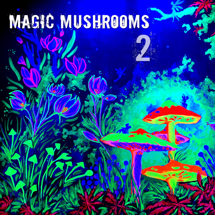 VARIOUS - Magic Mushrooms 2