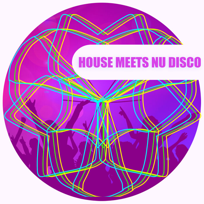 Various - House Meets Nu Disco