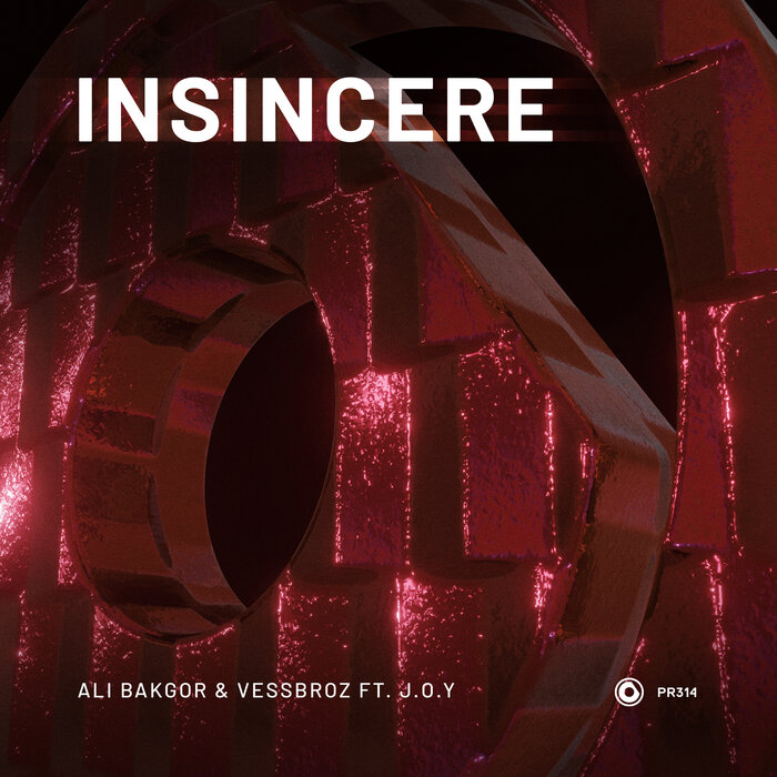 Ali Bakgor/Vessbroz feat J.O.Y - Insincere