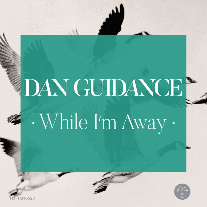 Dan Guidance - While I'm Away EP